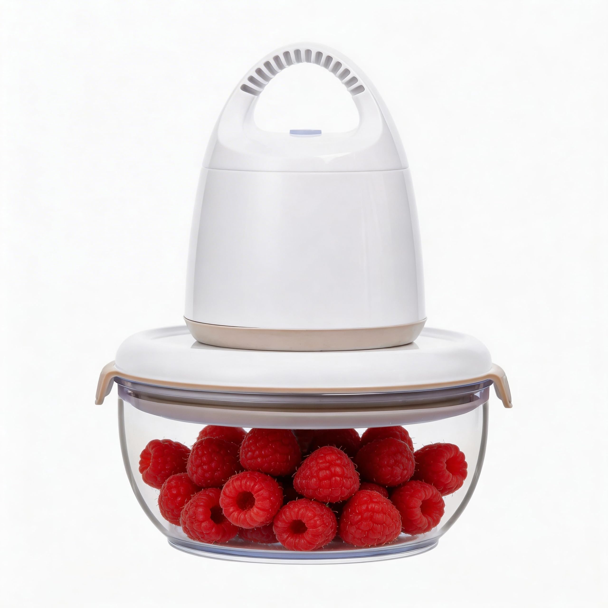 FOSA Contenitori sottovuoto, confezione da 4 da 600 ml, aggiornati con vassoio per ghiaccio rimovibile e anello data rimovibile (grigio), conservazione sottovuoto per alimenti, contenitori ermetici