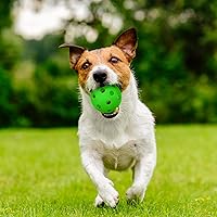 Vista 5 de Tanlade Paquete de 36 pelotas de práctica de béisbol, bolas de entrenamiento de plástico, bolas de softball ligeras huecas de flujo de aire con una