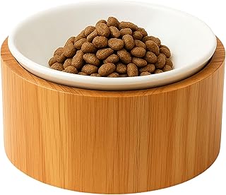 猫用フードボウル 食べやすい高さ × ごはんが中央に集まる形状 竹製スタンド＆セラミック皿