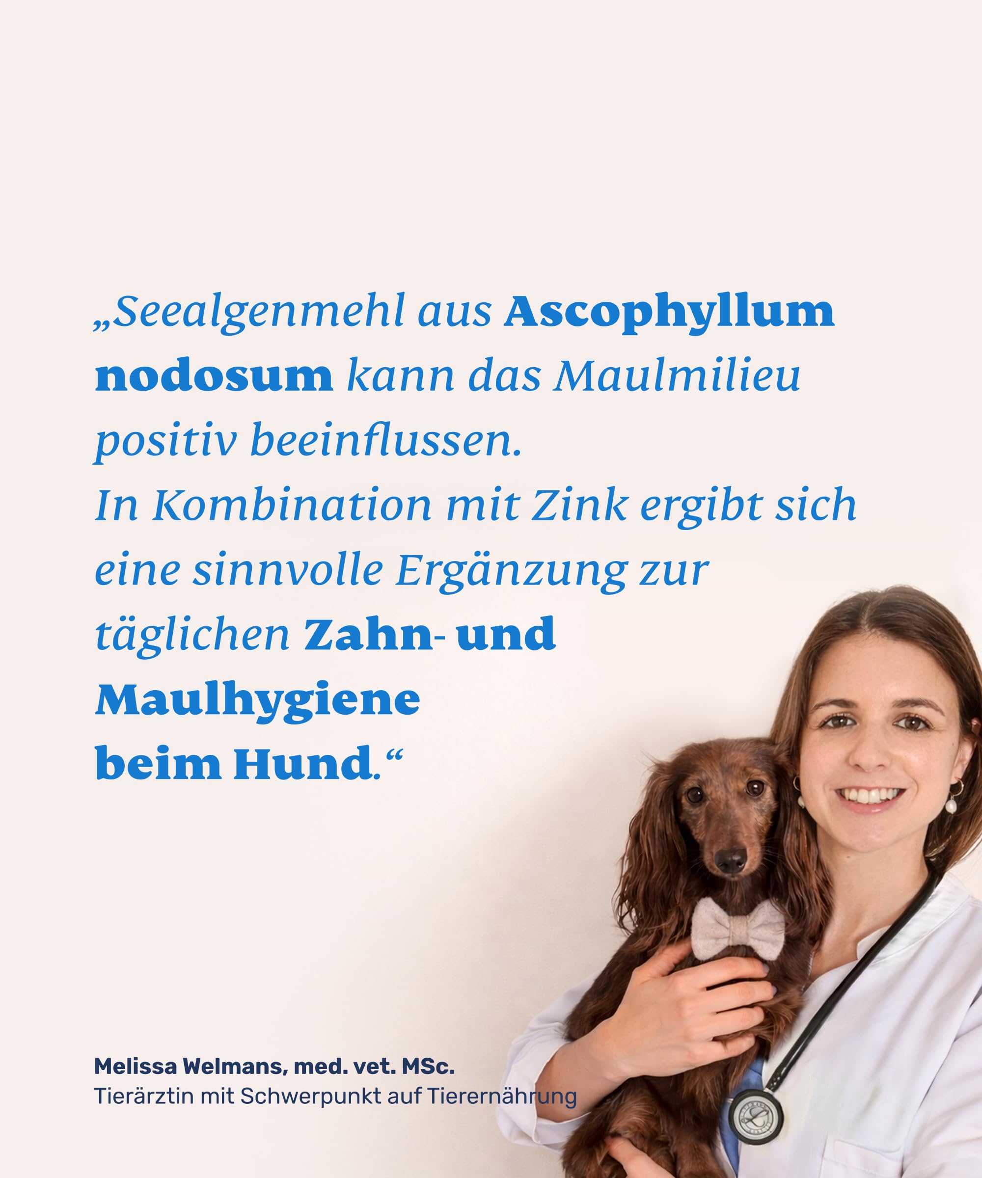 mammaly Zahnsteinentferner für Hunde - 98% Seealgenmehl mit Zink - Pulver gegen Mundgeruch - Natürliche Zahnpflege & Maulhygiene - Mit Ascophyllum nodosum - Barf Mineralien Ergänzung - 150g