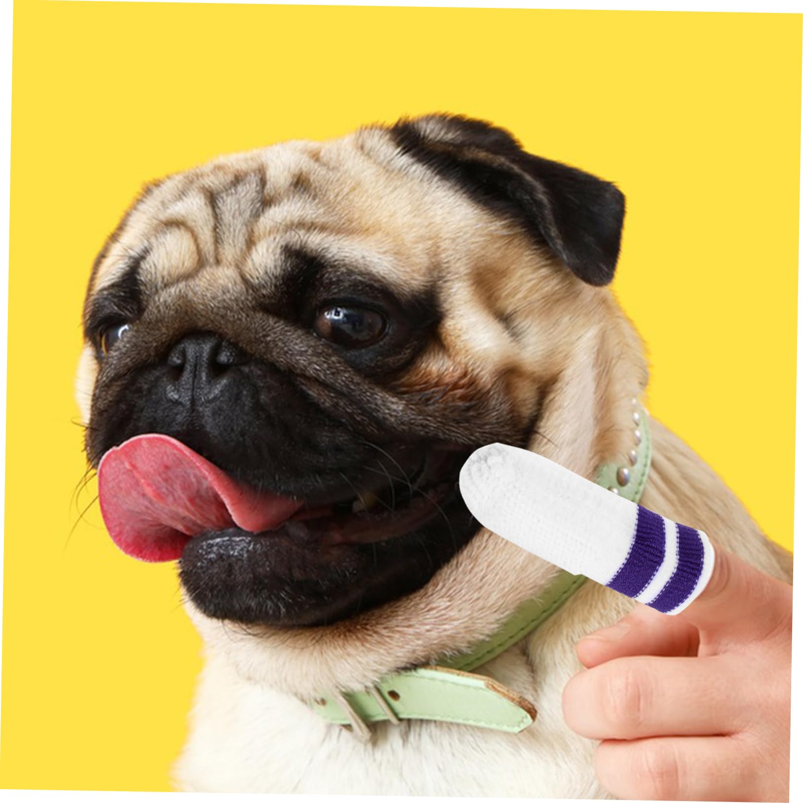 BESPORTBLE 30pezzi Spazzolino Per Denti Per Animali Domestici Nylon Per Cani e Gatti Strumento Di Pulizia Orale Con Design Comfort Per Cuccioli e Gattini
