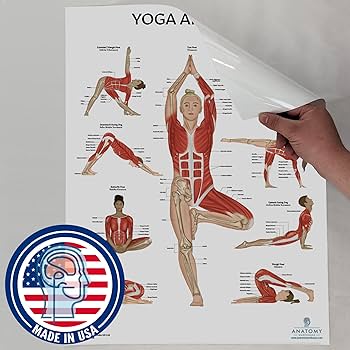 アナトミー フォー ヨガ アナトミー フォー ヨガ Amazon.com