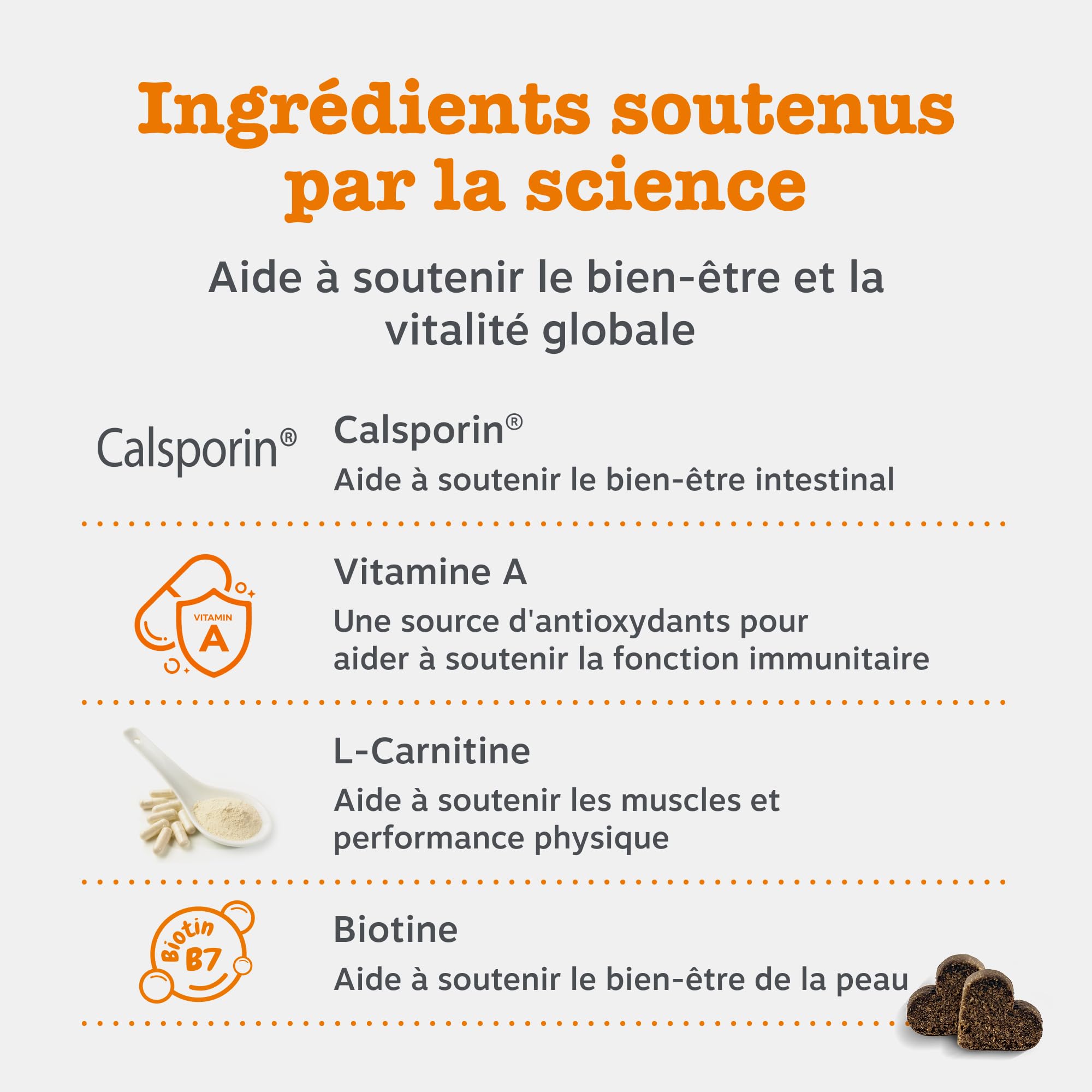 Zesty Paws Bouchées Multifonctions 9-en-1 Chien Senior | Articulations, Yeux, Cerveau, Cœur et Immunité | Vitamines A, B3, B5, C, Acide Folique, Biotine | Usage Quotidien | 90 Bouchées