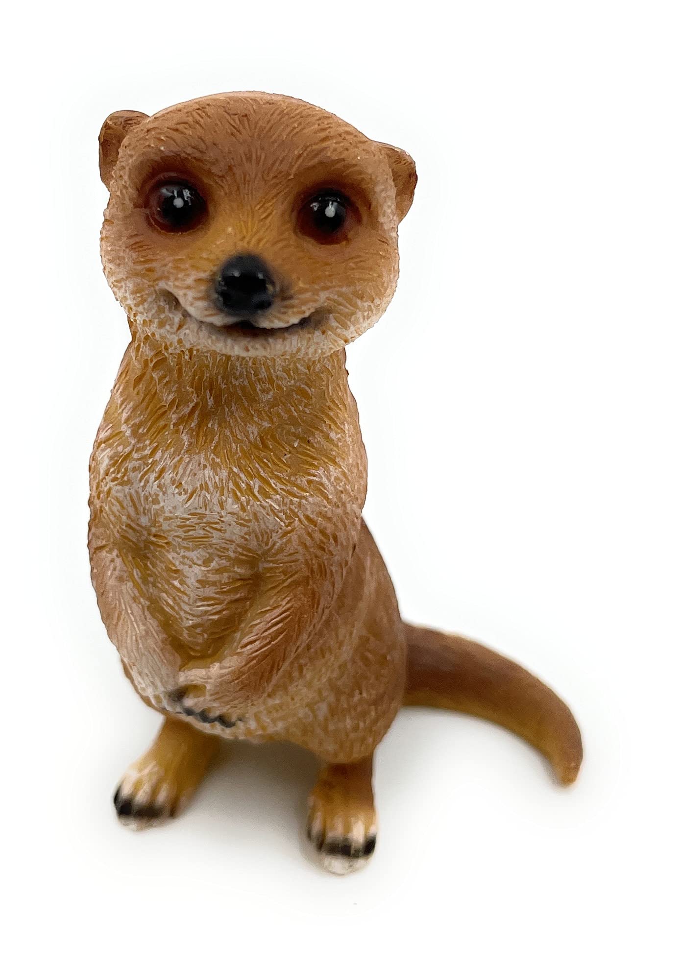 Onwomania Peluche Peluche Animale Meerkat Pappagallo Marrone 23 cm