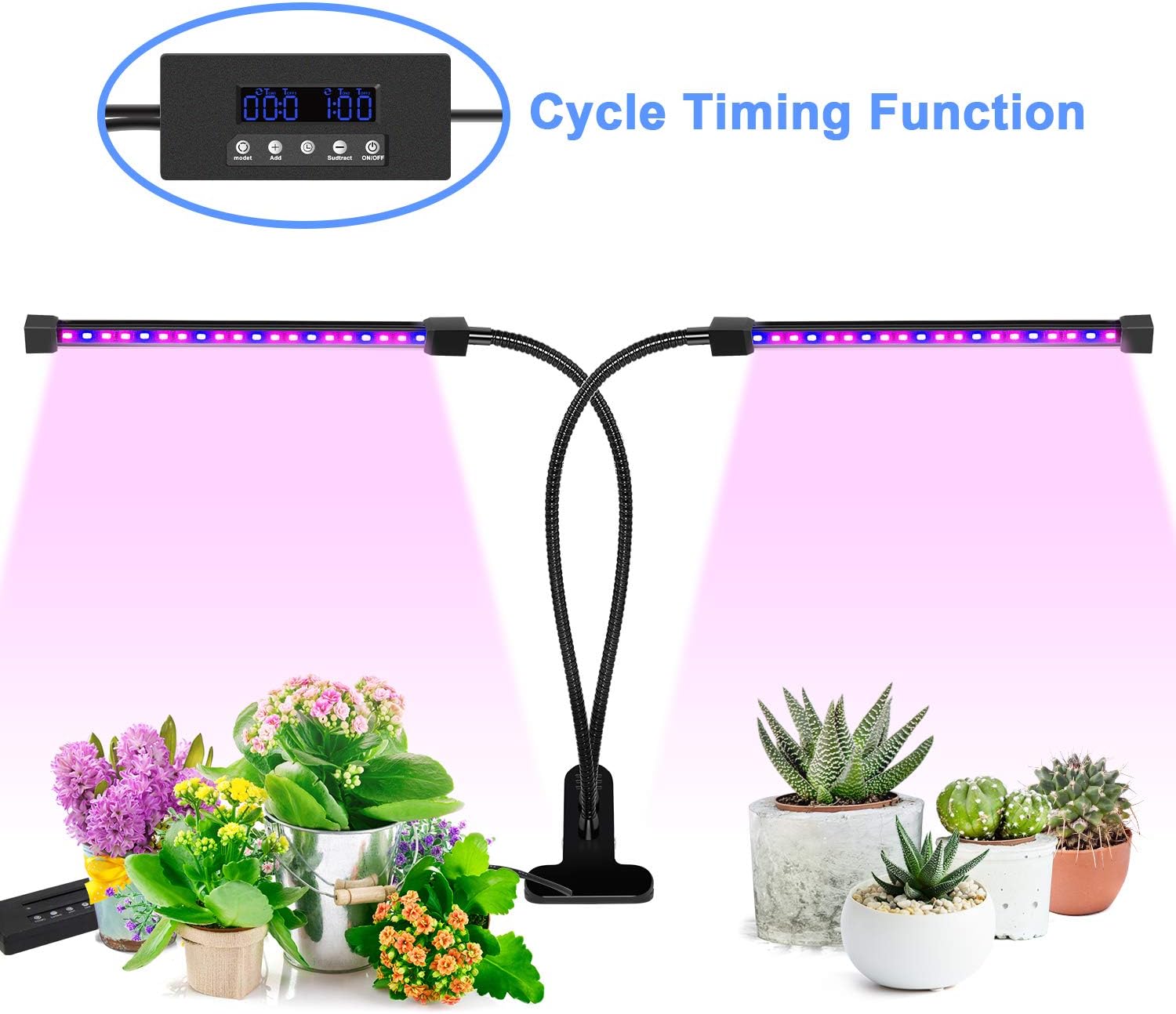 Grow Light, Ankace Upgraded Version 40W Grow Light (40W Cycle Timing)