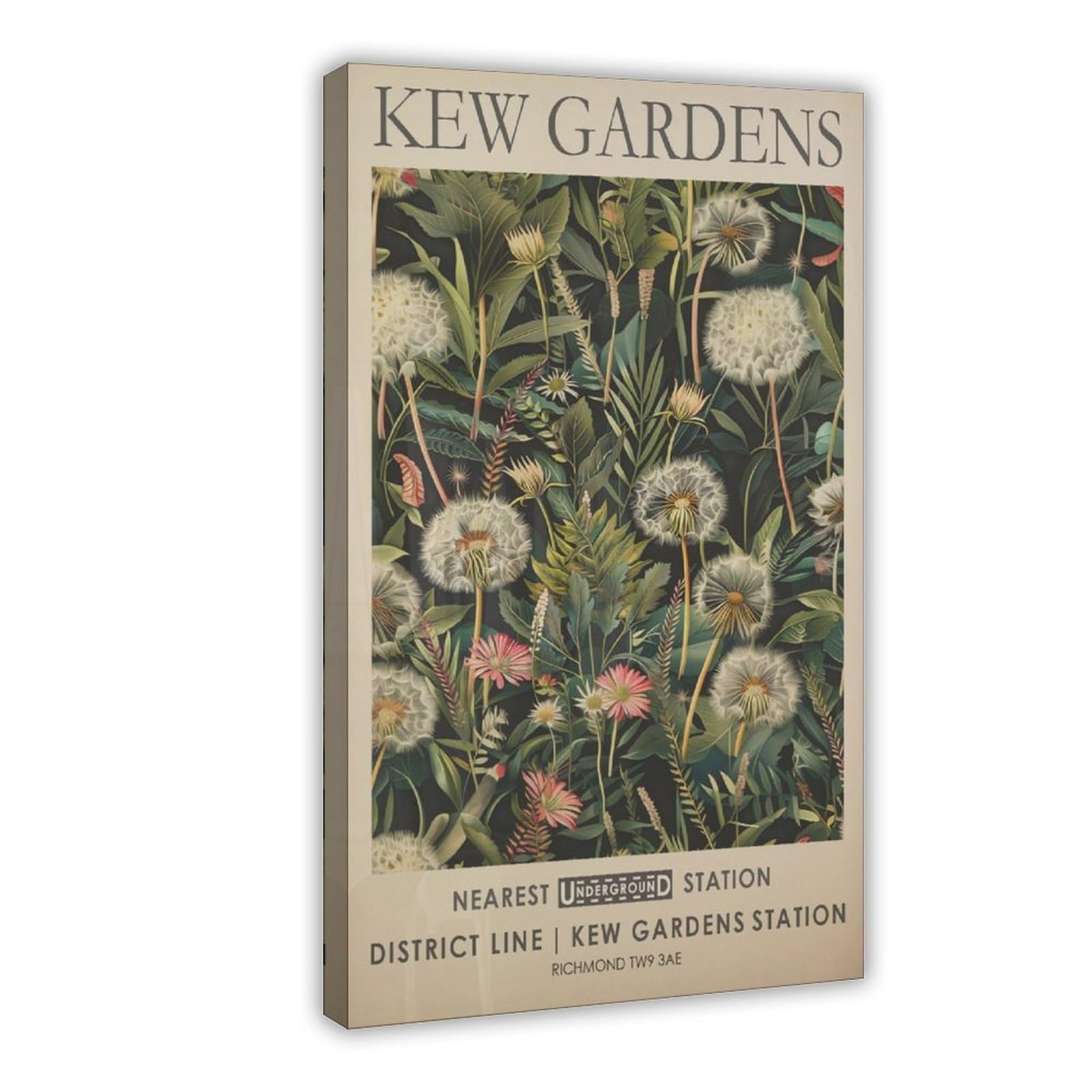 Mghdgd Kew Gardens, Vintage Botanical Art, Dandelion Canvas Poster Wall Art Decor Print Picture Paintings For Living Room Bedroom Decoration 12X18inch(30X45cm)