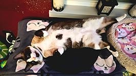 Review Image by Missy M Missy M