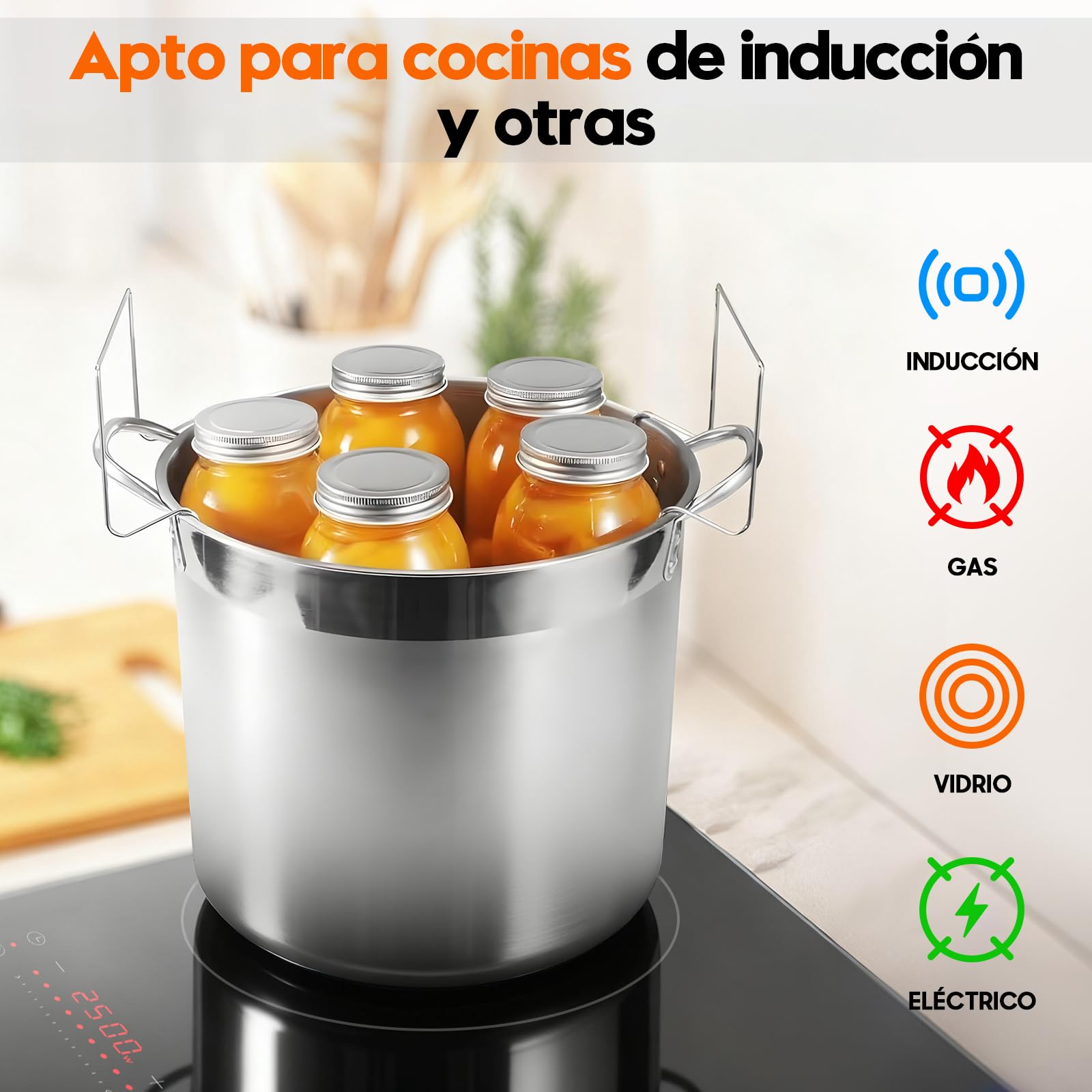 Olla de Conservas de Acero Inoxidable con Rejilla y Tapa, Gran Olla de Baño María, Kit Completo de Conservación para el Hogar (Negro, 19L)