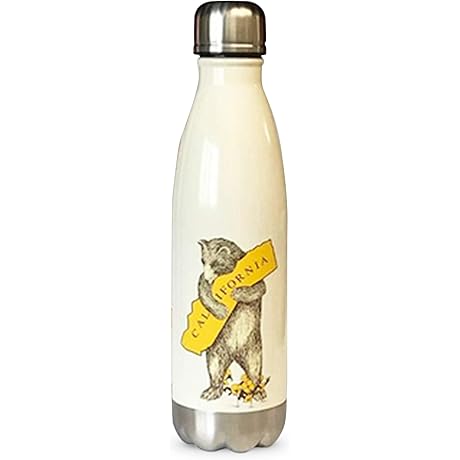 Stainless Steel Water Bottle - An Ode to the Charming Californian Spirit