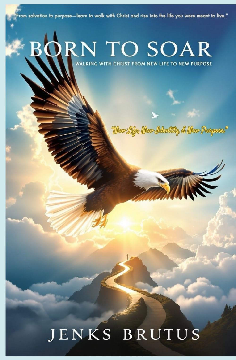 BORN TO SOAR: Walking with Christ from New Life to New Purpose