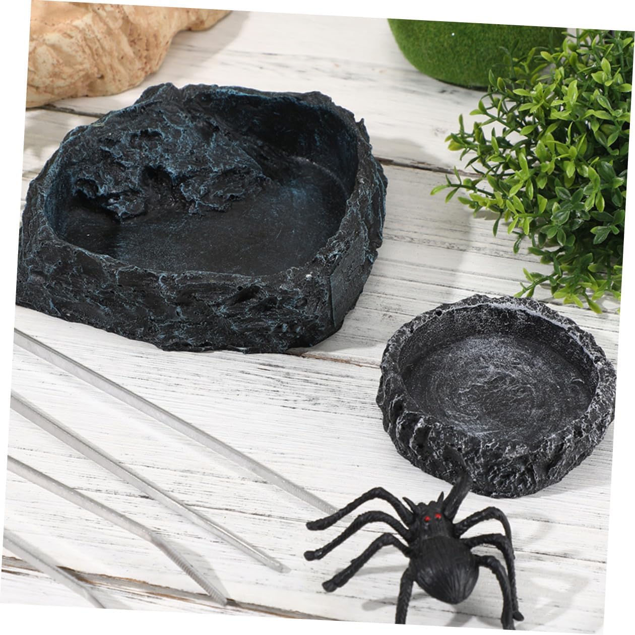NUOBESTY Reptile Food Bowl Set with Large Water Dish and Feeding Tongs, Small Gray Bearded Dragon and Snake Feeding Bowls for Terrarium Use