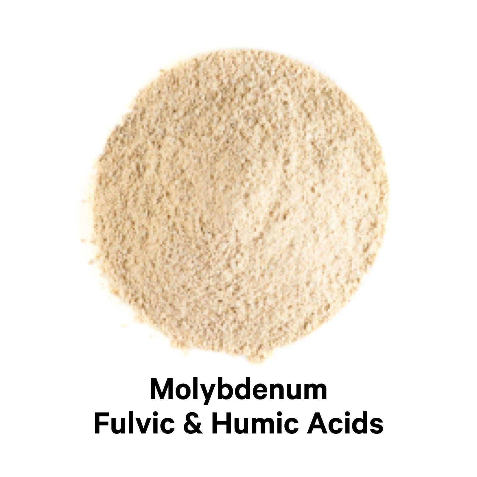 Buy Codeage Binder + Systemic Binder Supplement Activated Charcoal