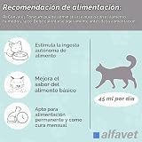 Ver la foto 6