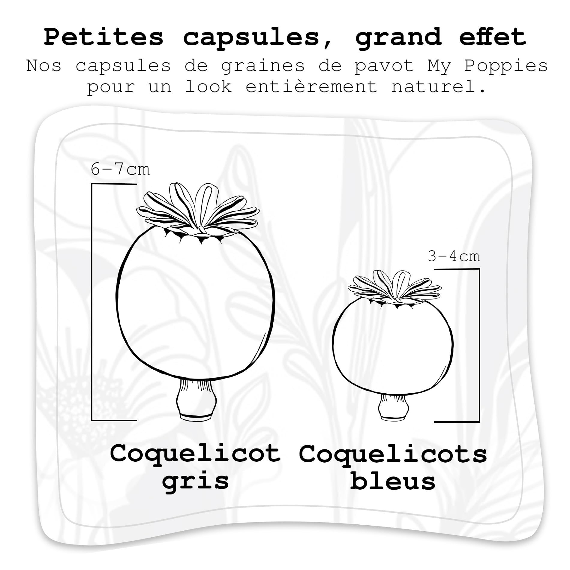 Capsules de graines de Pavot séchées sans Manche, Accessoires de Bricolage & décoration (Petit 200 g)
