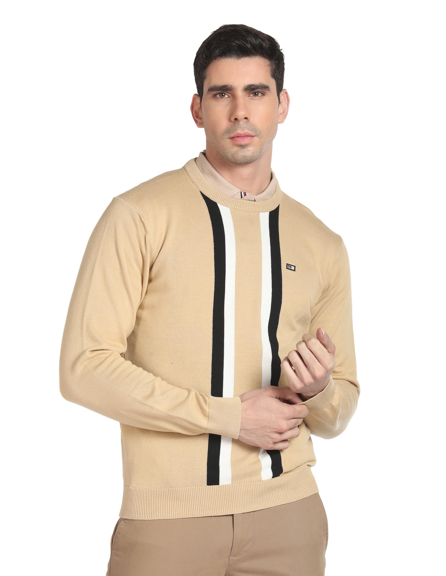 arrow Men's Cotton Round Neck Casual Sweaters-picture-46