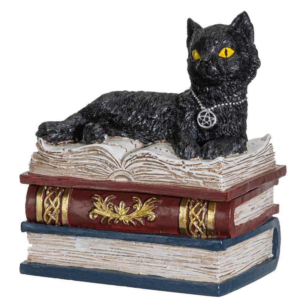 Boîte chat noir magique wiccan en résine pour ranger vos bijoux et cristaux
