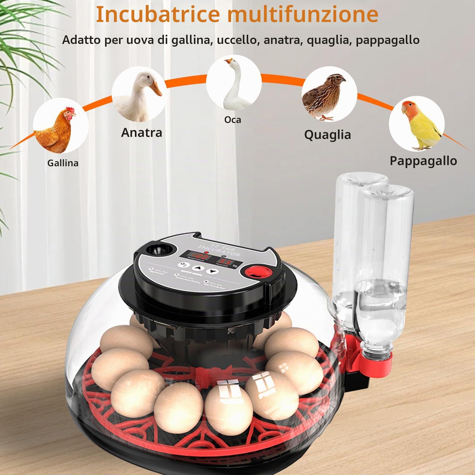 Incubatrice per Uova Automatica, Incubatrice da 12 Uova con Tornitura Automatica delle Uova e Umidificazione Automatica, Incubatrice per Anatra Fattoria e Casa Uova di Gallina, Quaglia