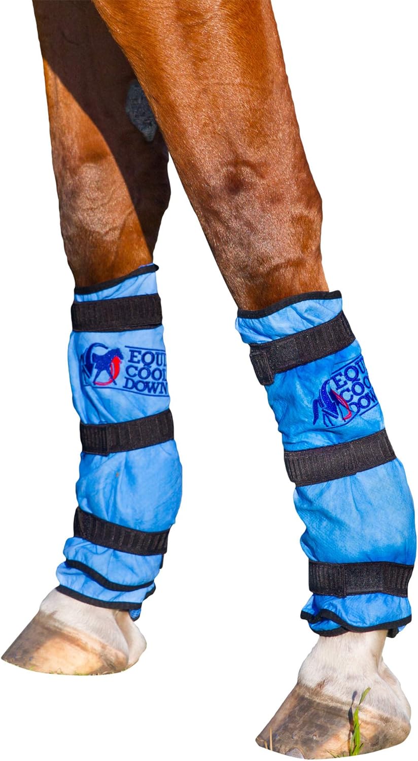 NEW! Equi Cool Down Equine Cooling Leg Wraps Blue Amazon.ca Pet