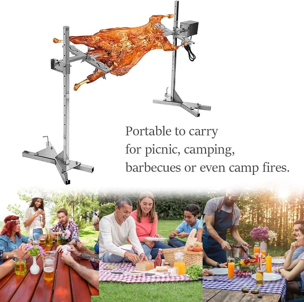 motori per girarrosto bbq