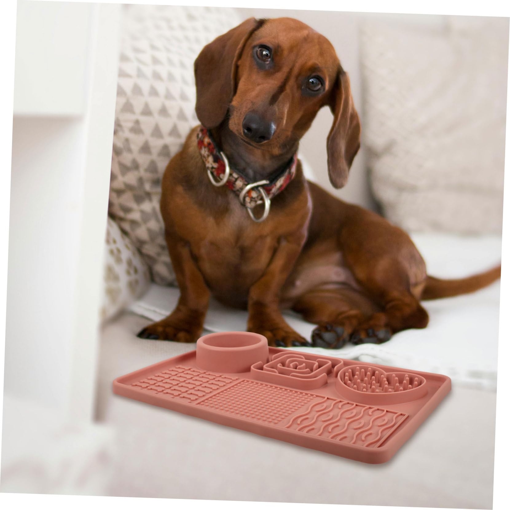 BESPORTBLE 5pezzi Tappetino Per Cani Per Alimentazione Lenta Con Ventosa Tappetino Leccare Per Animali Domestici Riduce La Velocità Di Pappa Facile Da Pulire e Riutilizzabile Design