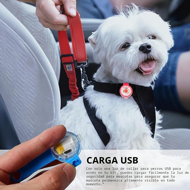 Foto 7 de 7 de GOEDCH 4 luces de seguridad para mascotas: tres modos de iluminación impermeable para mascotas al aire libre