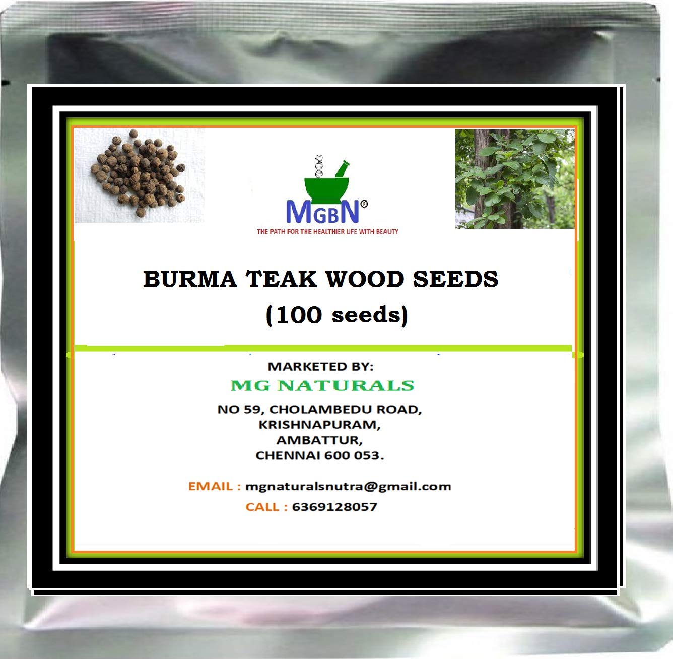 BURMA TEAK WOOD SEEDS (100 SEEDS) (B0841ZPH9B) Amazon Price History, Amazon Price Tracker