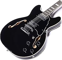 Vista 4 de Redid Semi-Hollow Body Electric Guitar RD-100 Jazz Guitar with F-Hole,Maple neck,humbucker Pickups (Black)