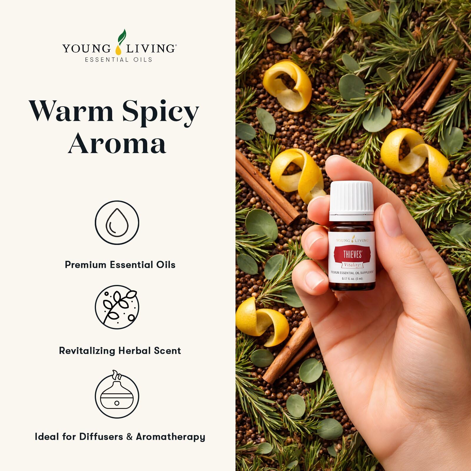 Amazon.com: Young Living Thieves Vitality Essential Oil Blend | 5