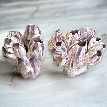 Tumbler Home Purple Barnacle Cluster for Aquarium Ornaments, Real Barnacles for Saltwater Aquariums, Fish Tank Decorations and Accessories, Coastal and Nautical Bathroom or Party Decoration 2 Pack