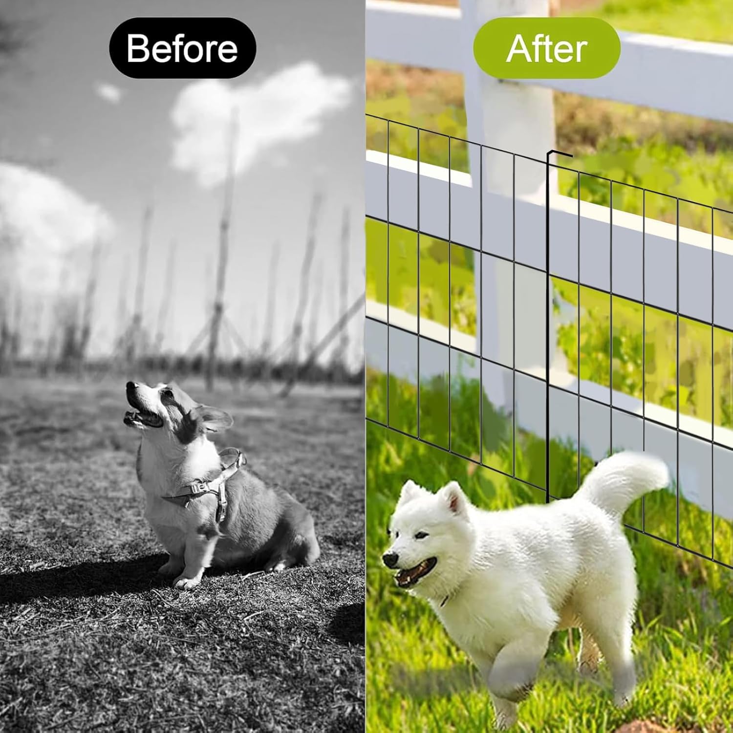 10 Pack Animal Barrier Fence, 16 in (H) x 10 ft (L) Rustproof Metal No Dig Fence Decorative Garden Fencefor Dog, Flower Bed Protector, Décor