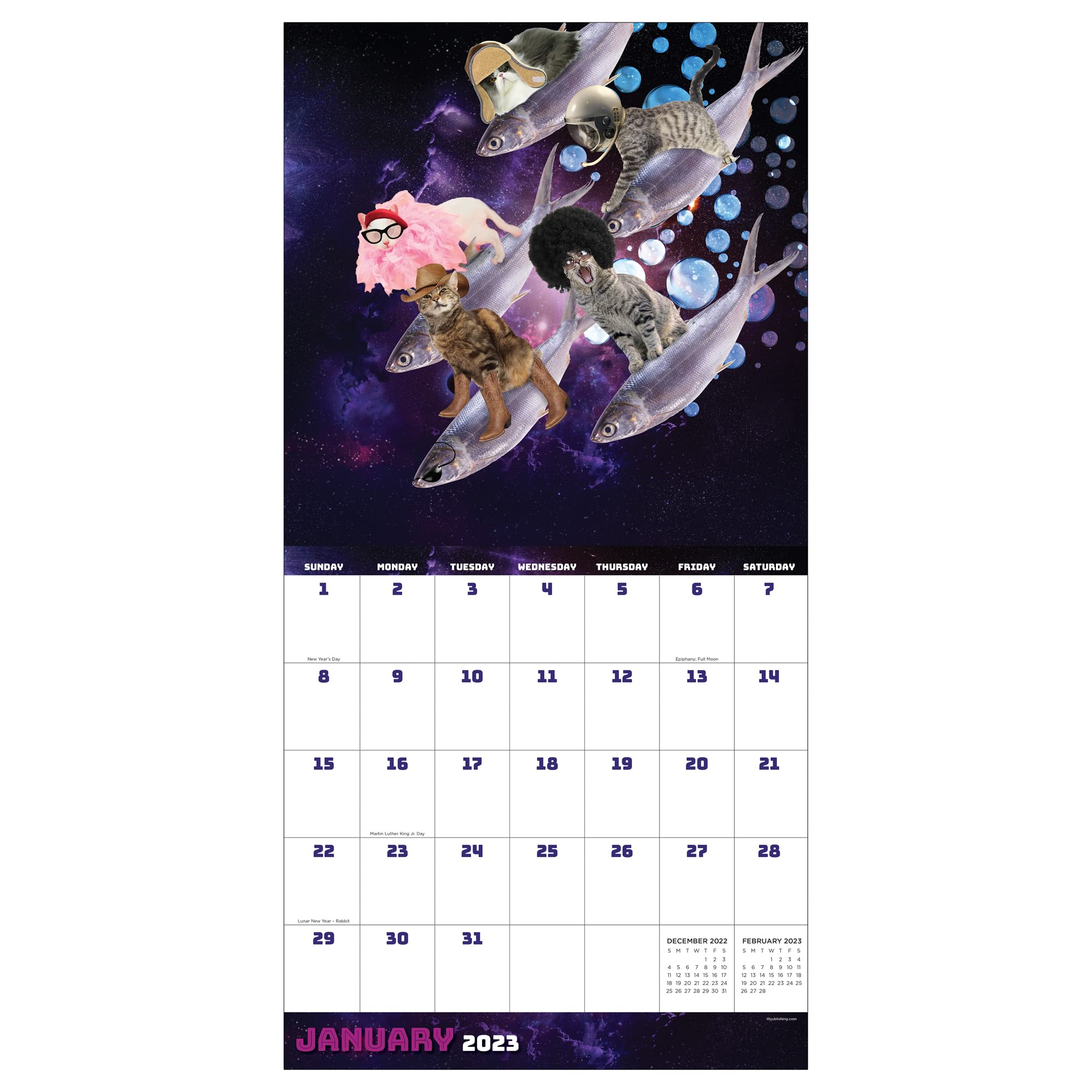 Amazon.com: TF PUBLISHING Space Cat 2023 Wall Calendar 12 Month | Premium 2023  Calendar Wall | Large Wall Calendar 2023 Monthly | Big Grid Calendars 2023  | Calander 2023 | Planners For Office Calender 2023 : Everything Else