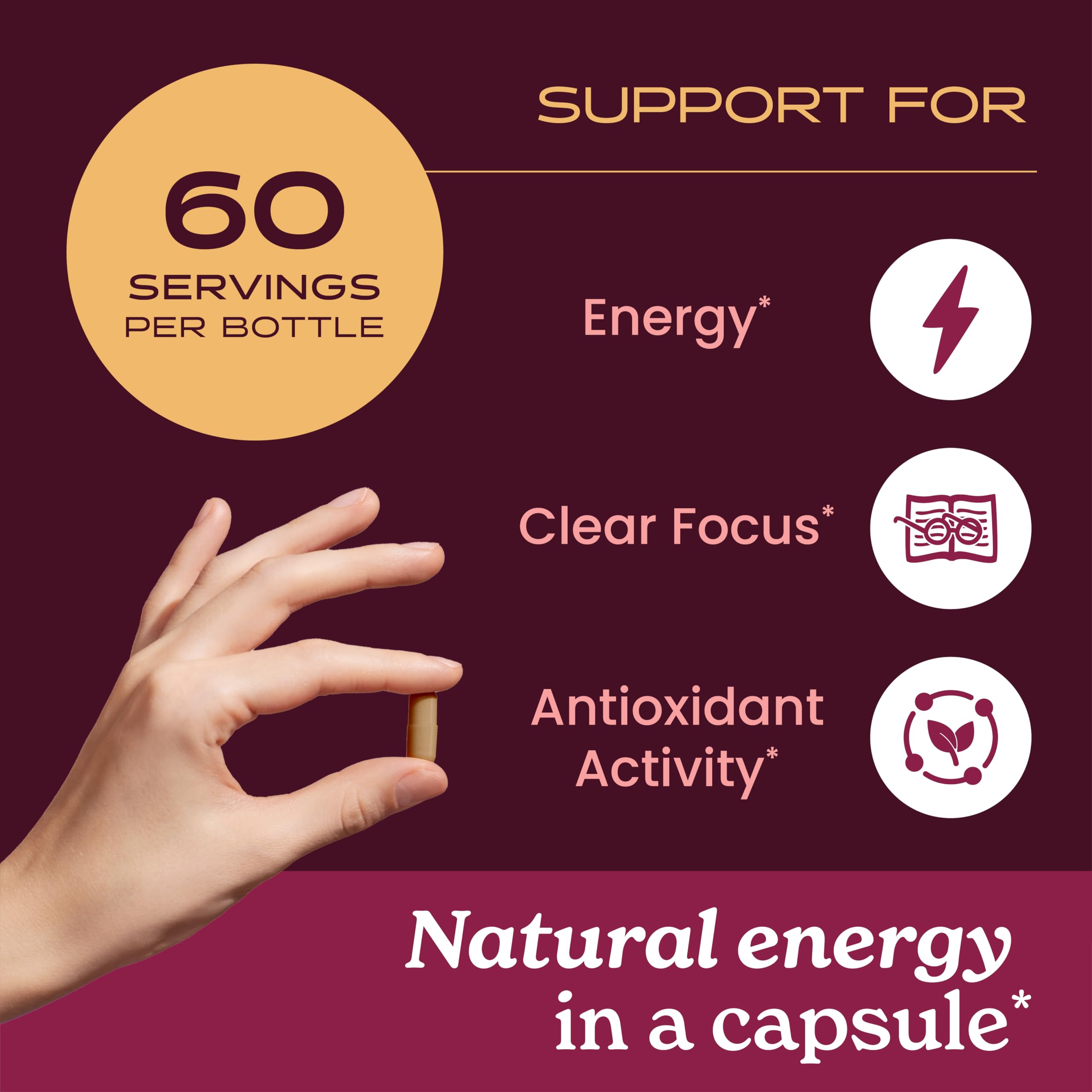 Herb Pharm Guayusa Capsules: USDA Organic Nootropic Brain Supplements for Focus, Herbal Nootropic & Energy Support| 60 Vegan Capsules, 30 Day Supply* — Amazon image 3