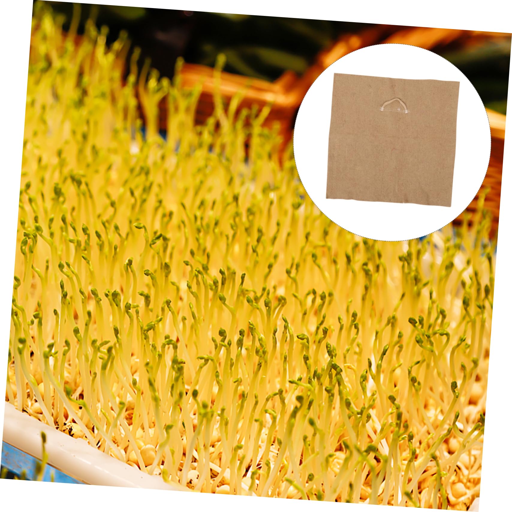 4 Reti In Ferro Per Germinazione Di Microgreens – 30x21 Cm, Per Vassoi Di Semina, Crescita Sana E Rapida