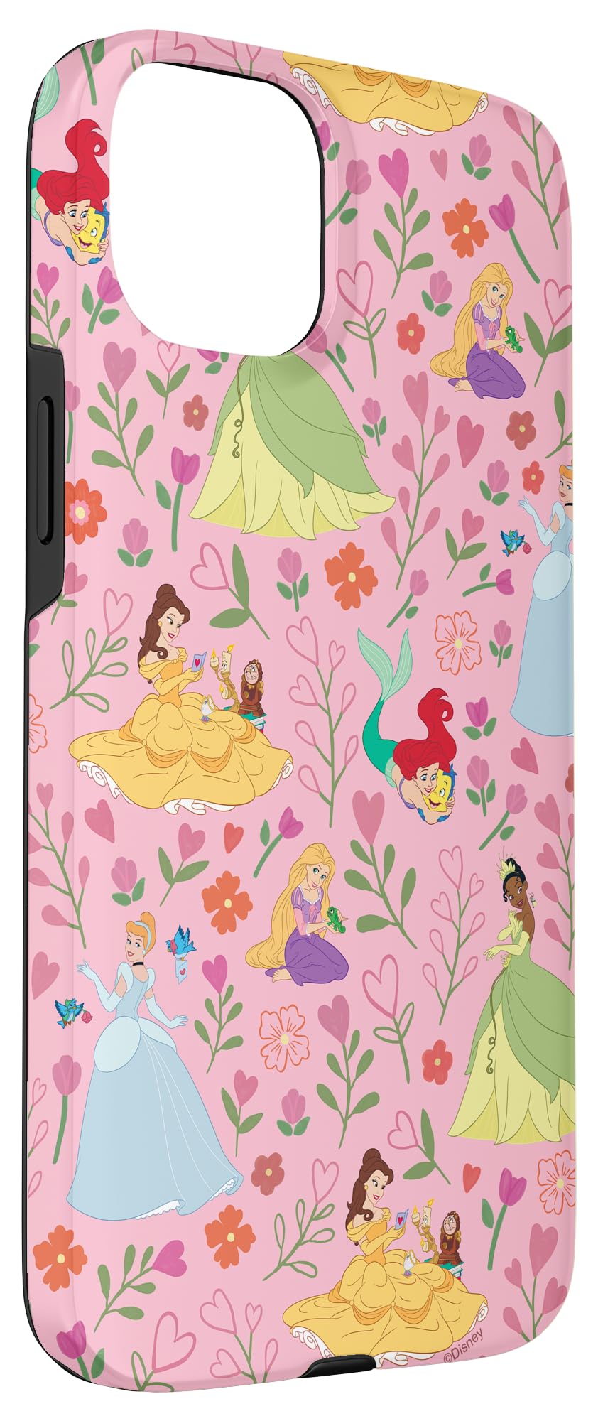 Amazon.com: Disney Princess Valentine's Day Princesses & Best
