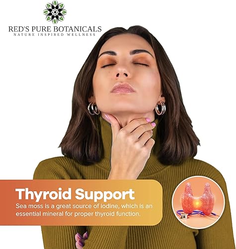 Miniatura 7 de Musgo de mar  Musgo de mar irlandés  Calidad premium  Hecho en crudo y silvestre a partir de rocas y camas marinas de Santa Lucía  4 onzas en seco