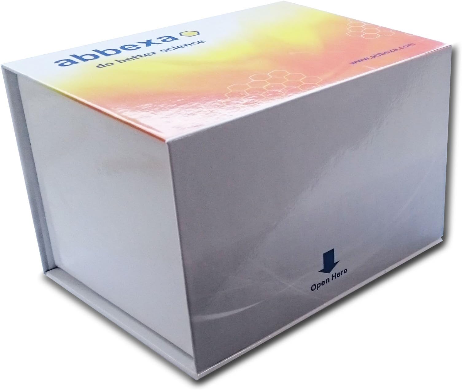 Human Hyaluronidase 1 ELISA Kit