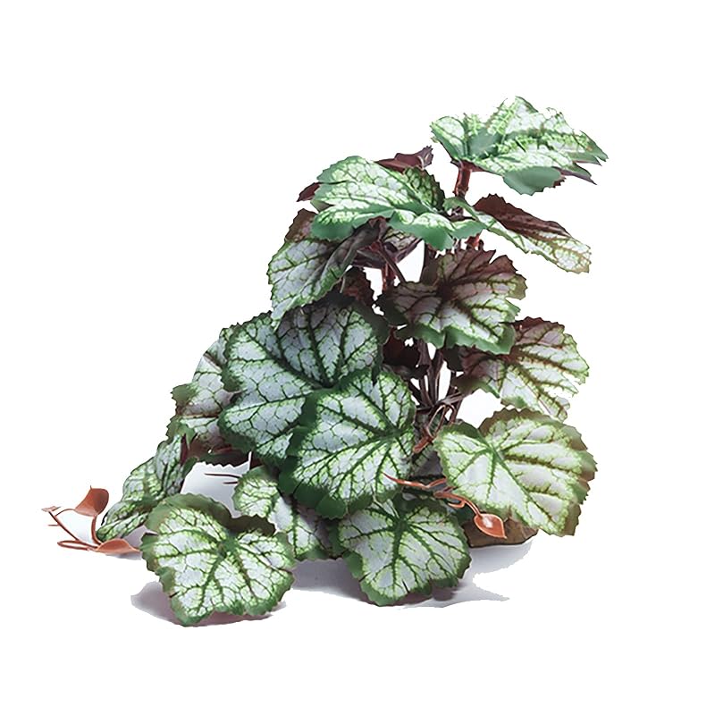 Planta artificial Saxifrage para terrário, decoração para répteis e anfíbios Woyrise
