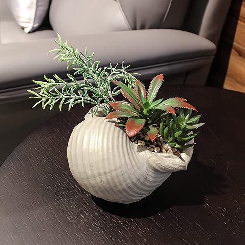 Miniatura 8 de Suculentas falsas en concha de mar, decoración del hogar, decoración de playa costera para el hogar, baño, océano, conchas marinas, serie de