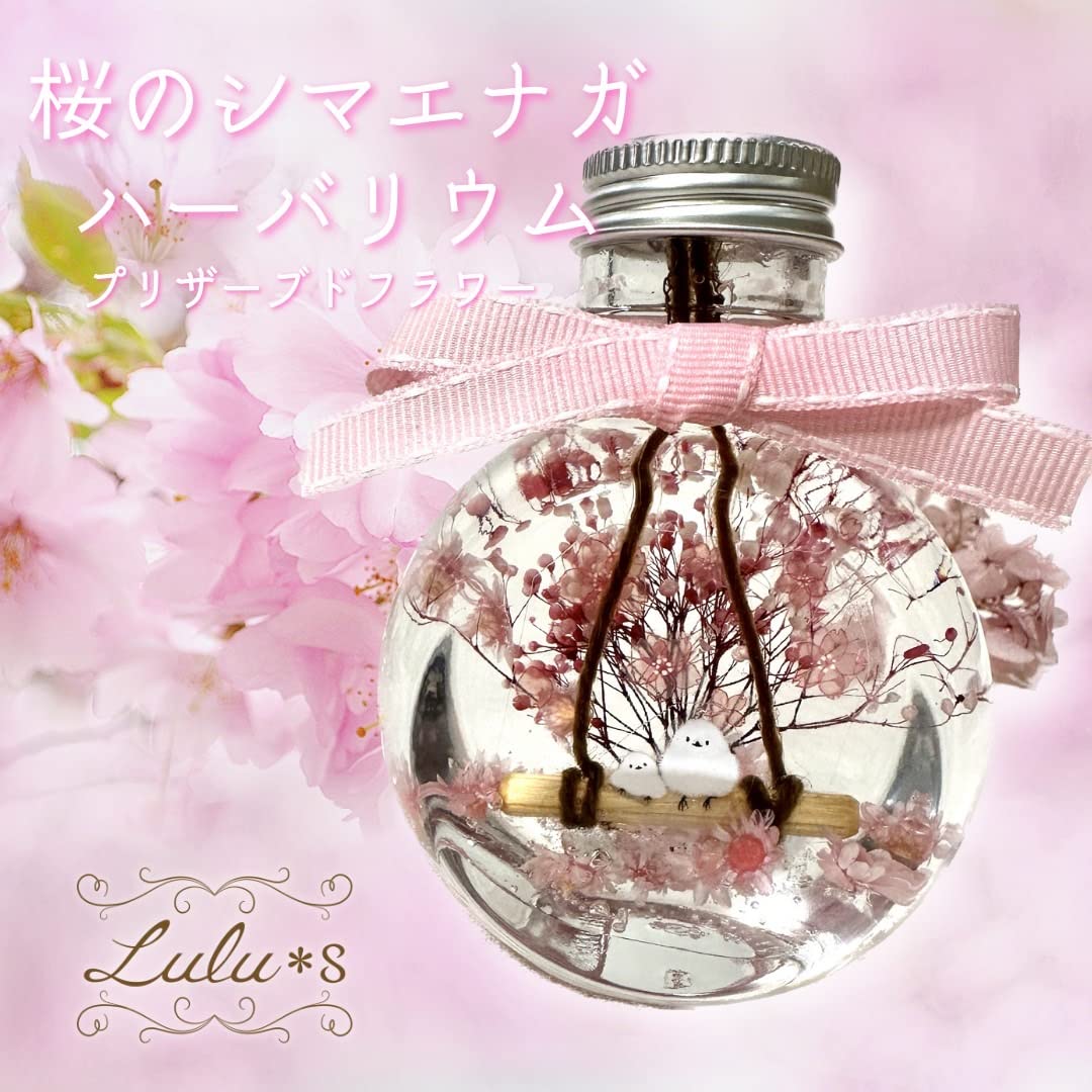 Amazon｜Lulu
