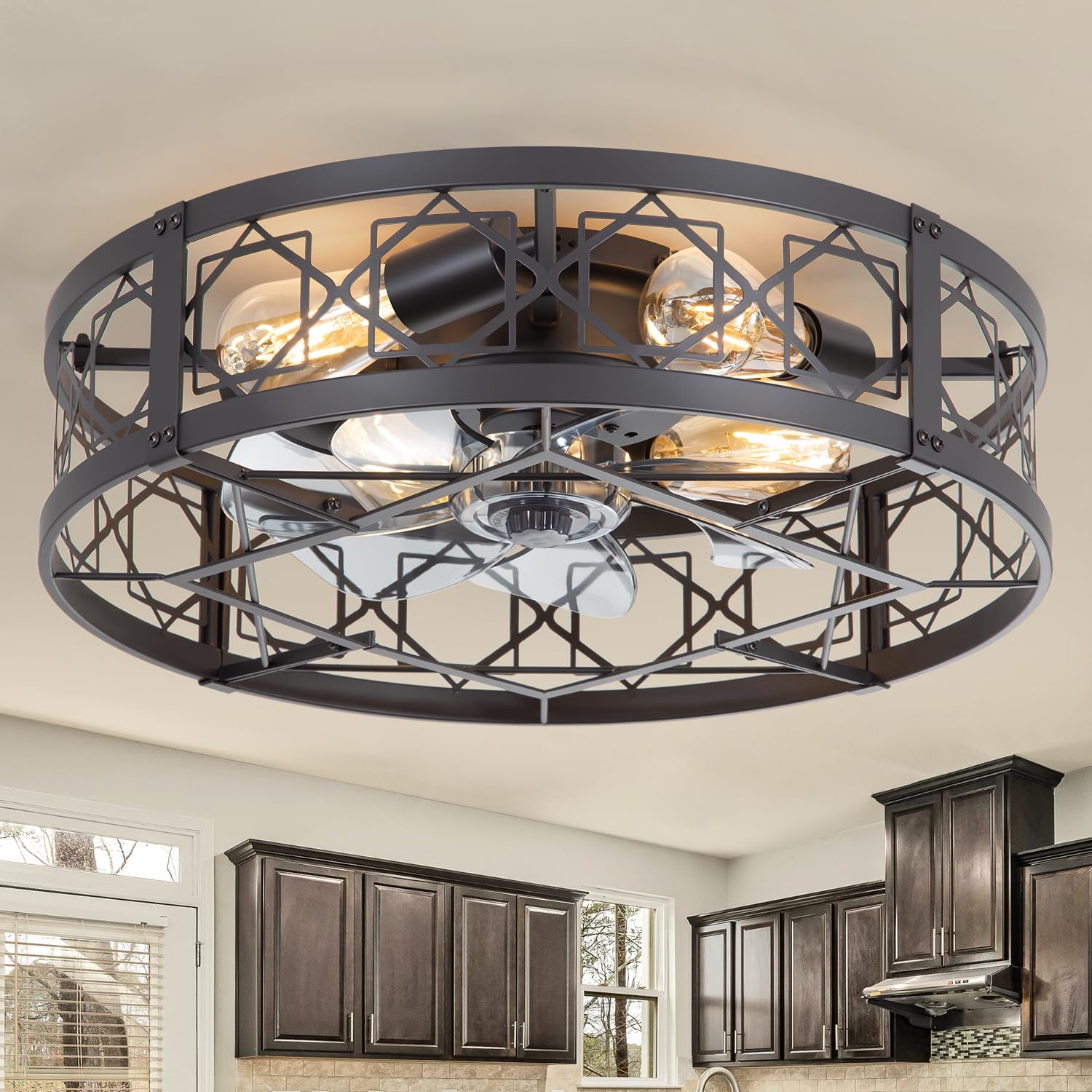 ZYD Caged Ceiling Fan with Light, 20