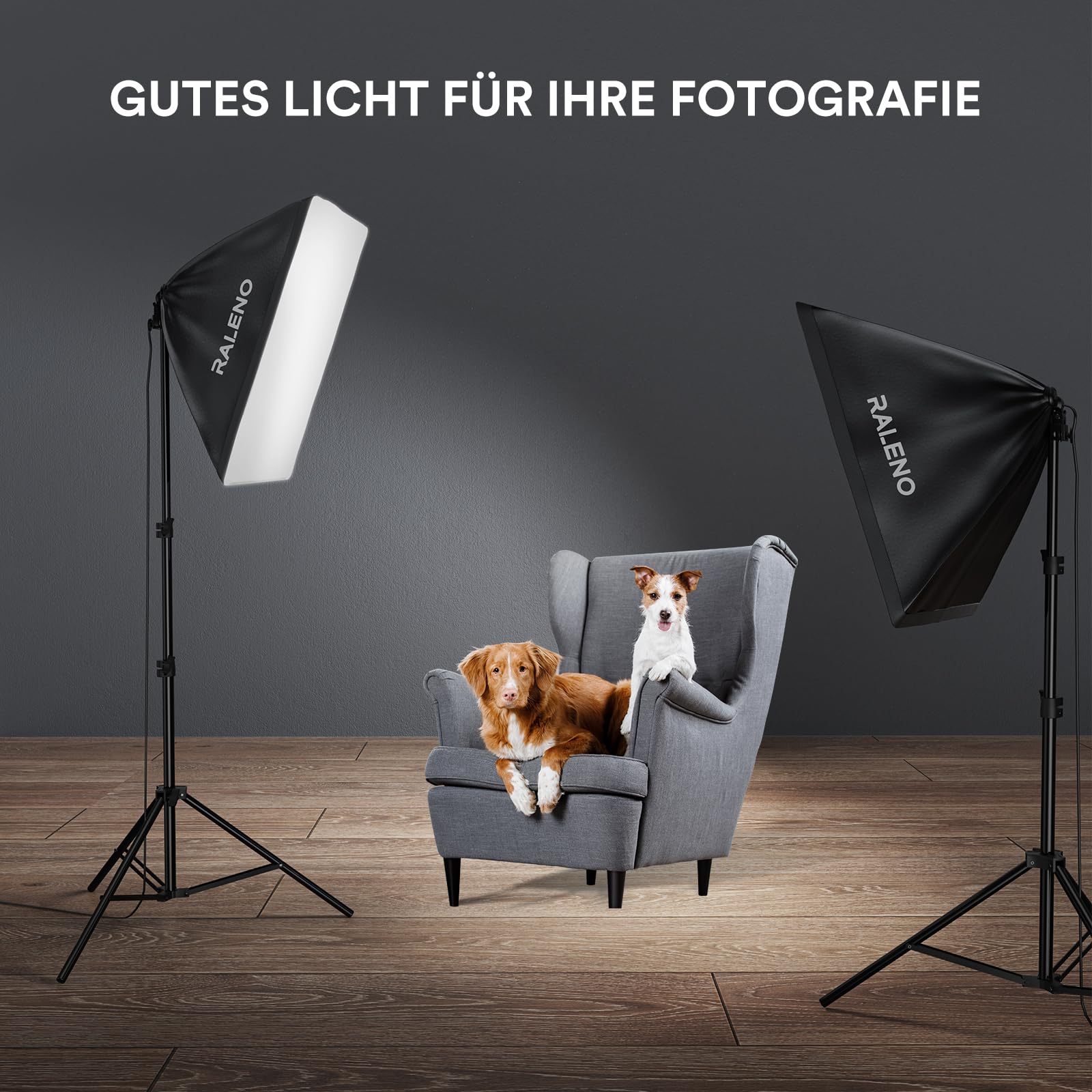 RALENO Softbox, Set da Studio Fotografico con Softbox LED, 50x50 cm Set di Luci da Studio a Luce Permanente con Attacco 50W 5500K, Adatto per Ritratti in Studio, Numero Modello: PS70