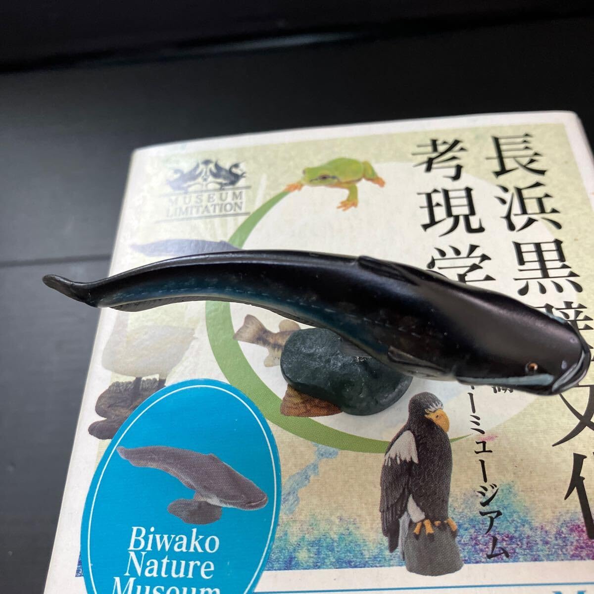 海洋堂 長浜黒壁文化考古学 琵琶湖ネイチャーミュージアム限定 5種セット/未開封 Amazon | 海洋堂フィギュアミュージアム黒壁 長浜黒壁文化考現学