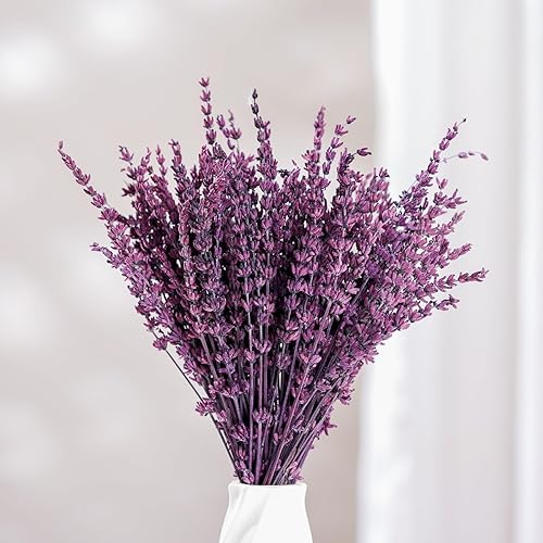 Paquete de flores de lavanda secas moradas Ramo de lavanda preservada en seco real de 15 a 17 pulgadas para ducha, hogar, boda, decoración de