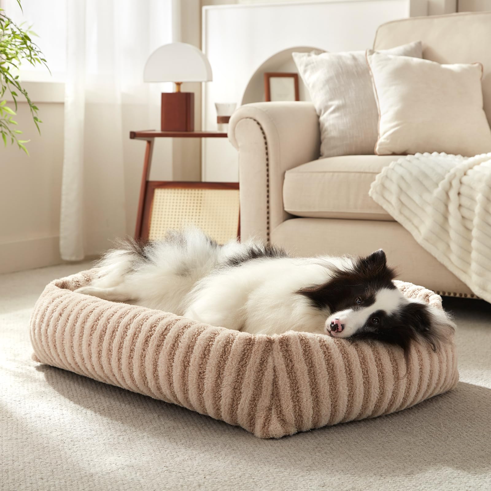MIXJOY Dog Bed Medium Size Dog Washable Medium Dogs Bed with Removable Cover Soft Rectangle Doggy Ded Fluffy