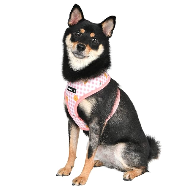Foto 3 de 4 de Puppia Spring and Summer Fashion - Arnés para Perro sobre la Cabeza, Rosa Indio, Baba, Talla S