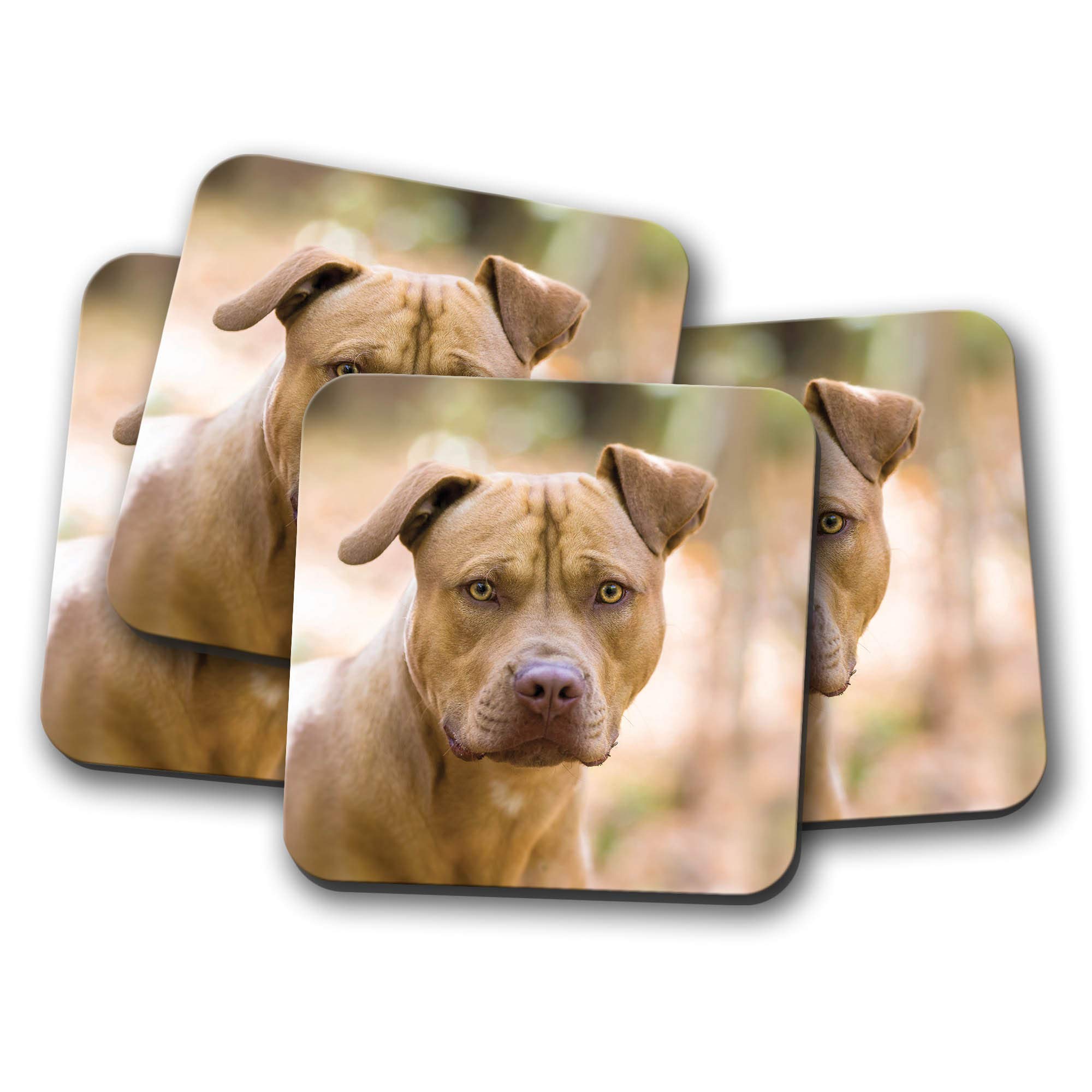 Destinationvinyl Multicolor 4 Set - Pit Bull Staffy Coaster - Staffordshire Bull Terrier Staffie #8634