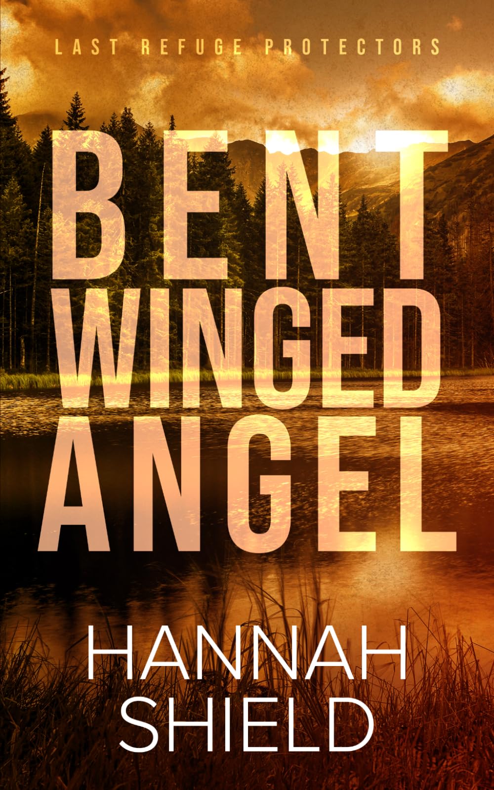Bent Winged Angel (Last Refuge Protectors)