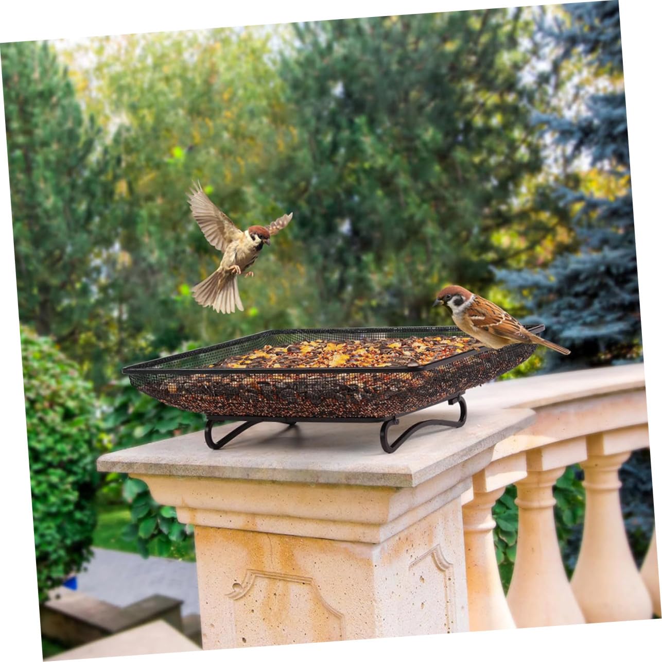 Comedero Terrestre para Pájaros Silvestres Plataforma Cuadrada de Acero Inoxidable, Resistente Intemperie y Fácil de Limpiar para Jardín Exterior