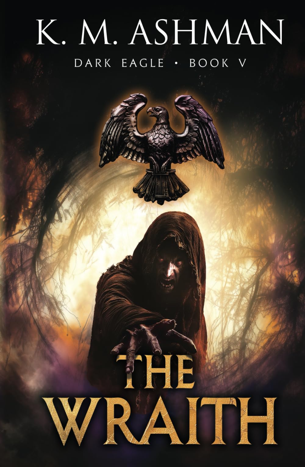 Dark Eagle V: The Wraith