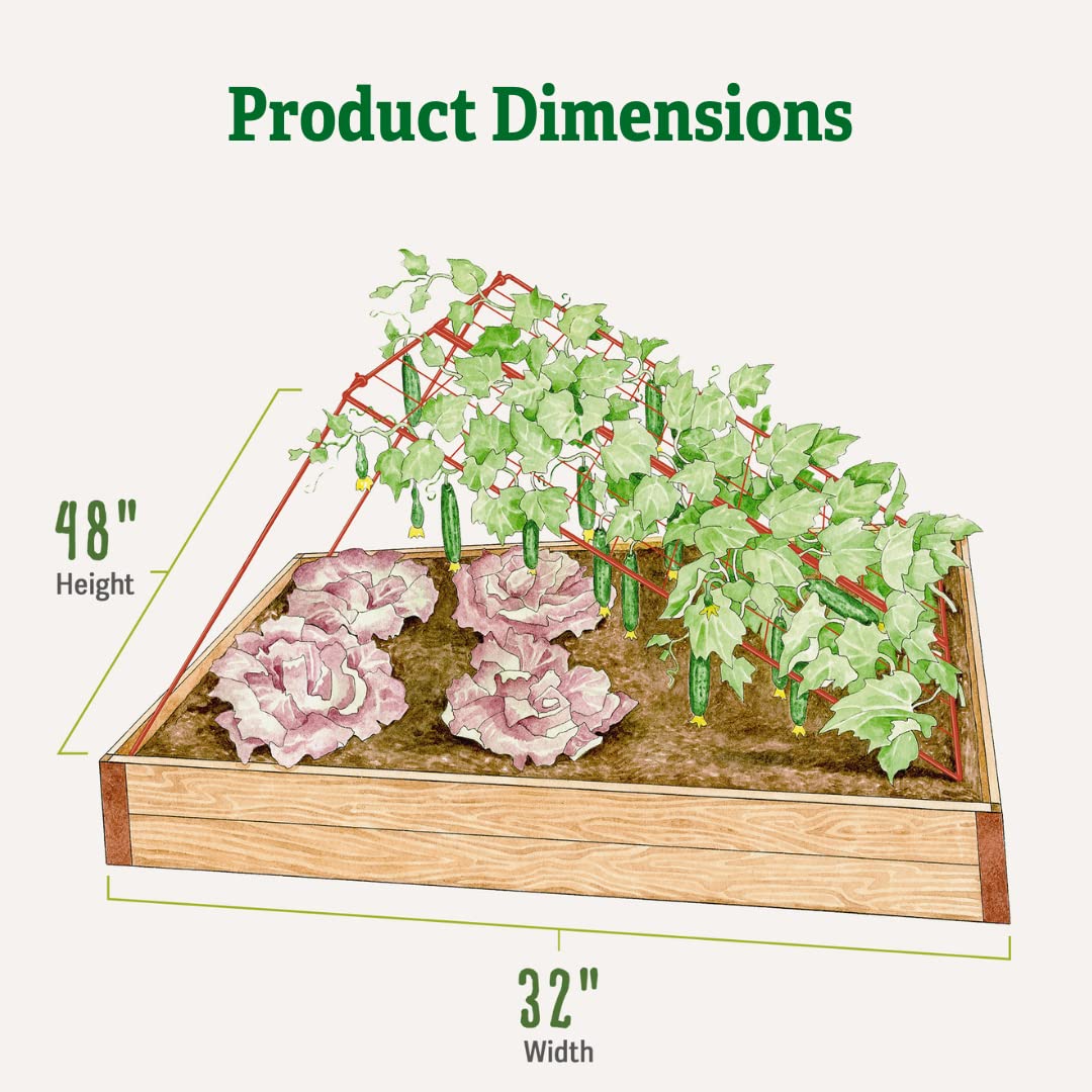 Amazon.com : Gardener's Supply Company Cucumber Trellis | Garden Bed Support  for Cucumbers & Climbing Plants | Outdoor Plant Support w/ 4" Grids for  Easy Harvesting | 32" x 48" - Medium (